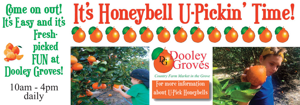 2024-U-PickHoneybells