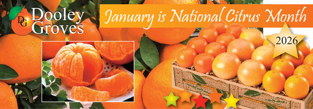 Banner-NatCitMonth26