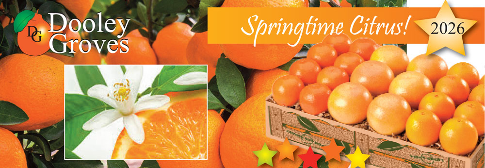 Banner-SpringtimeCitrus26