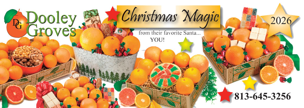 BannerChristmas2026