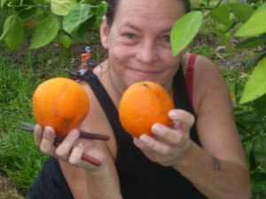 Rue Picking the first Homegrown Honeybells