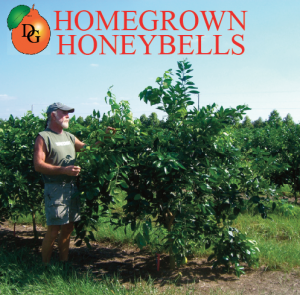 Homegrown Honeybells