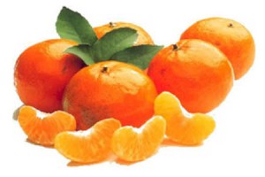 Florida Christmas Tangerines